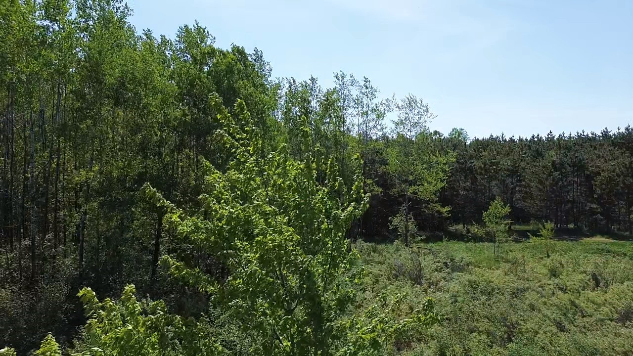 349 X 5th Avenue Shell Lake, WI 54871 - Photo 30 of 37
