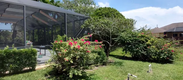 a view of outdoor space and yard