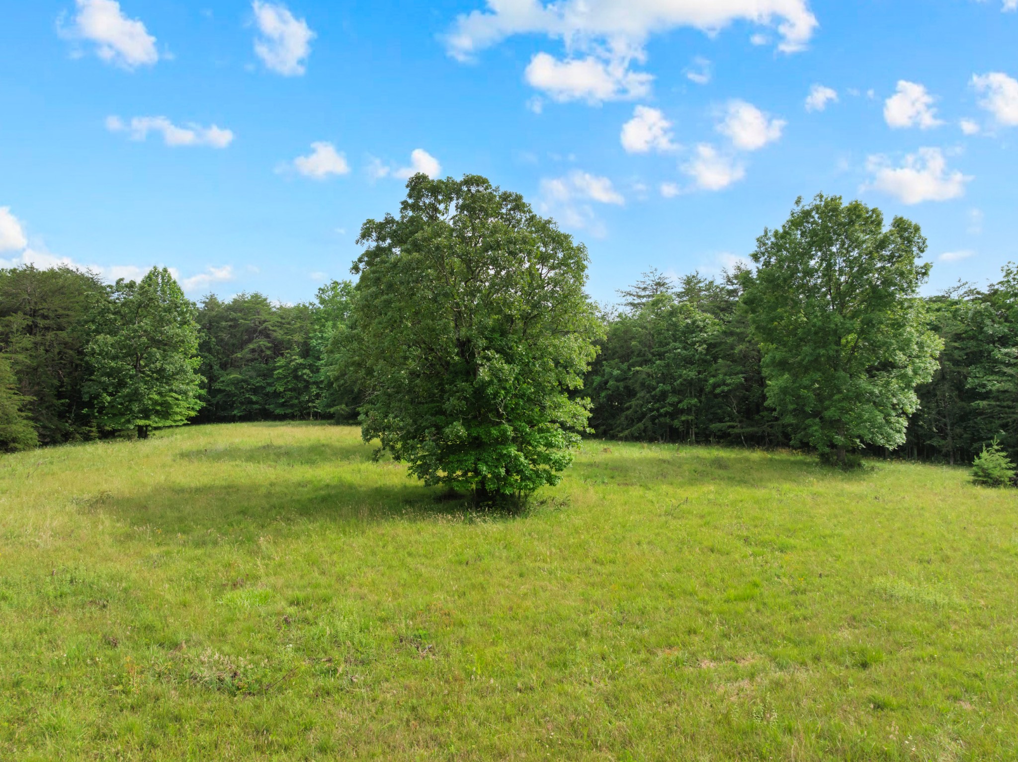 0 Salzer Mountain Road Spencer, TN 38585 - Photo 22 of 28