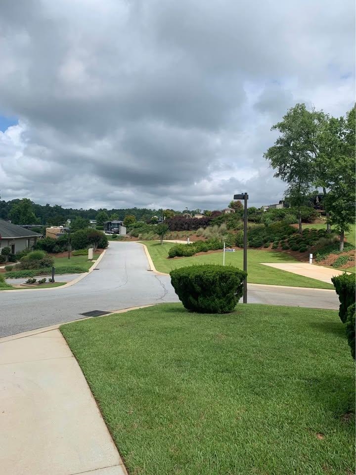 463 Cane Creek Camp Road Cross Hill, SC 29332 - Photo 8 of 8