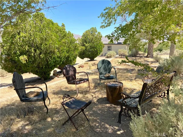 a view of a yard with a tree