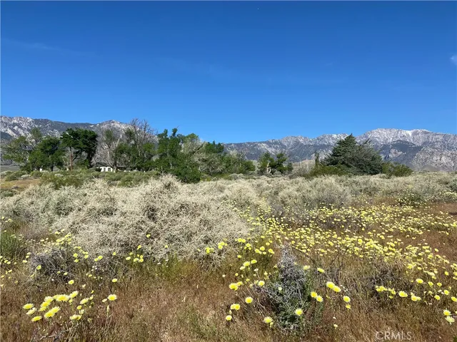 an aerial view of mountain with trees