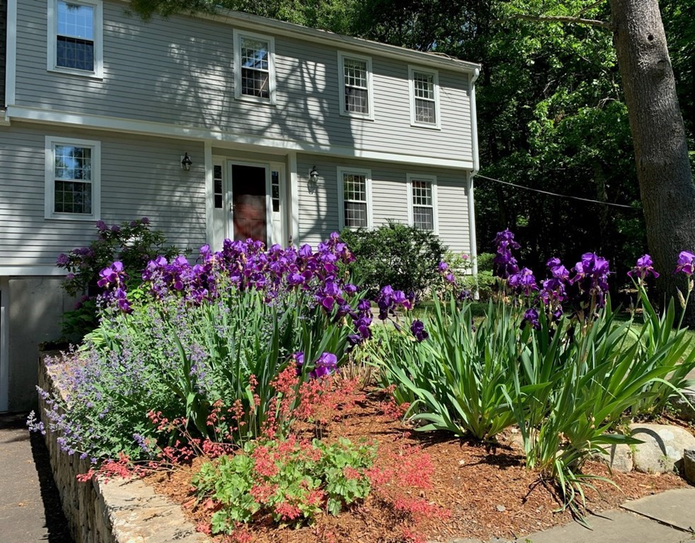 149 College Road Concord, MA 01742 - Photo 2 of 31 a front view of house and yard with seating space