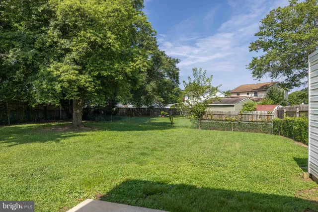a view of a house with backyard and a tree