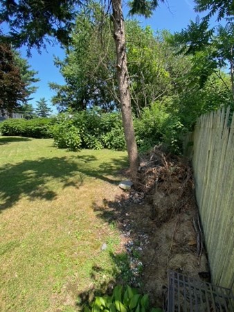 Lot 52 Darling Street Springfield, MA 01151 - Photo 4 of 9 Gallery Image 4
