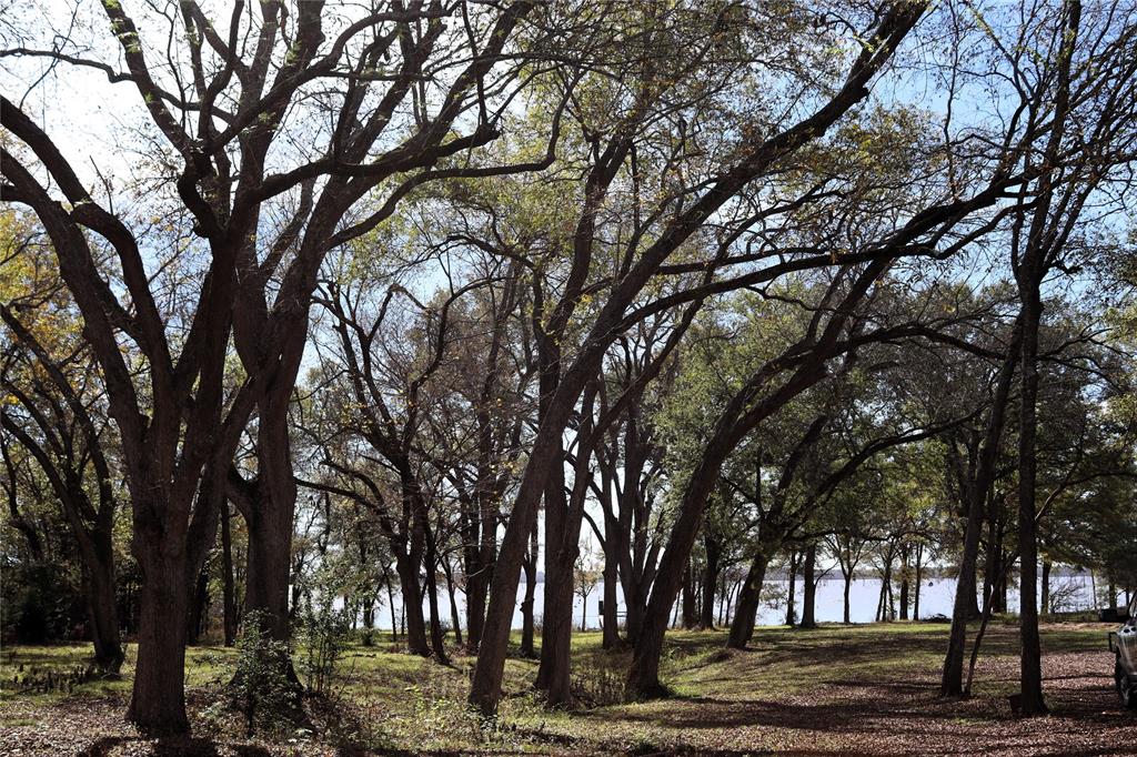 Tbd Callaway Lane Quinlan, TX 75474 - Photo 7 of 16 a view of a yard with a tree