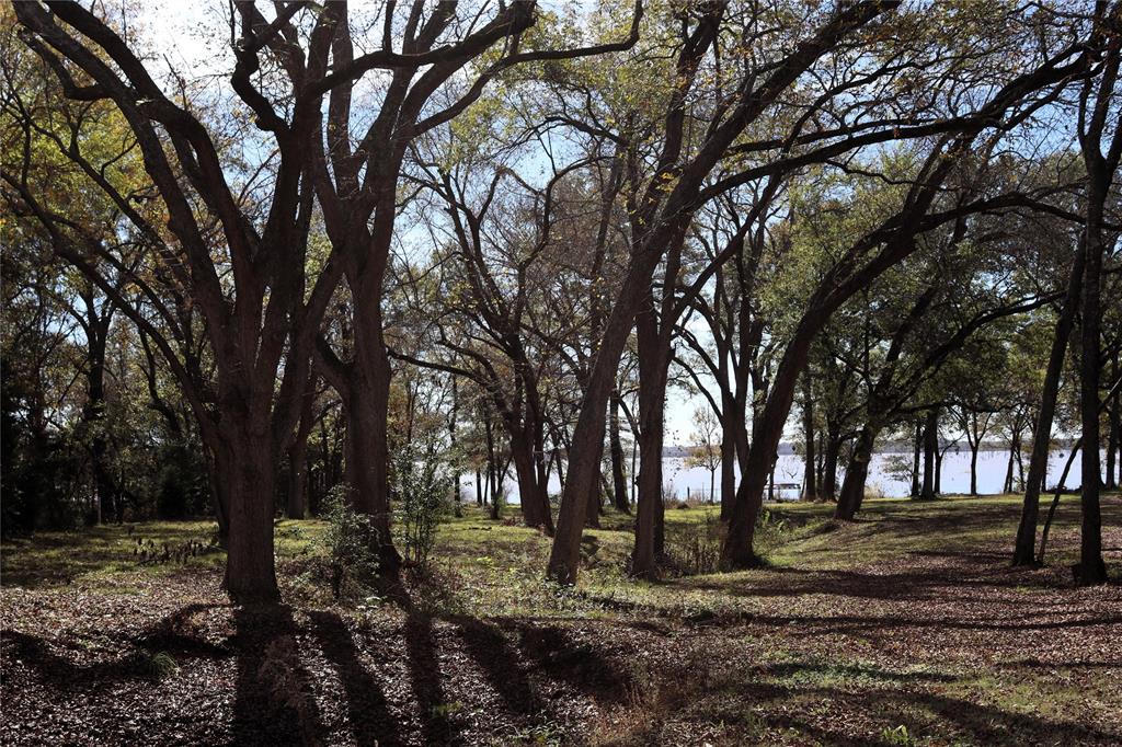 Tbd Callaway Lane Quinlan, TX 75474 - Photo 8 of 16 a view of outdoor space with lots of trees