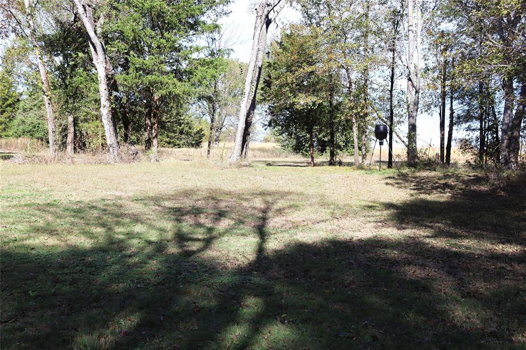 Tbd Callaway Lane Quinlan, TX 75474 - Photo 9 of 16 a view of yard with trees