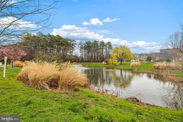 a view of a lake with houses in the back