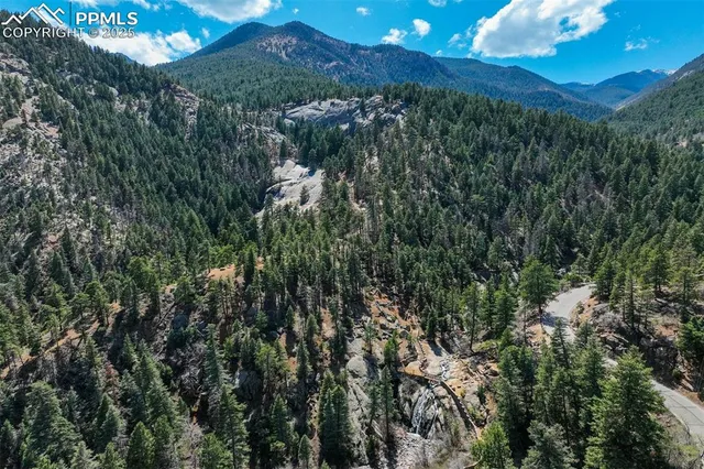 a view of bushes and trees