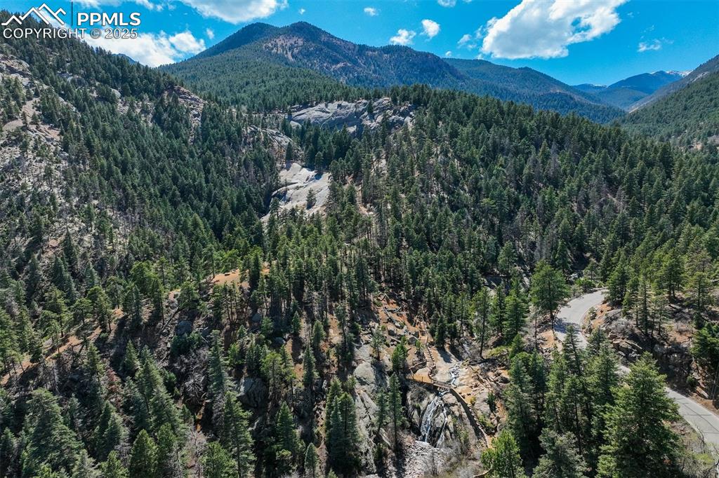 4560 Canonwood Road Colorado Springs, CO 80906 - Photo 38 of 50 a view of a green yard