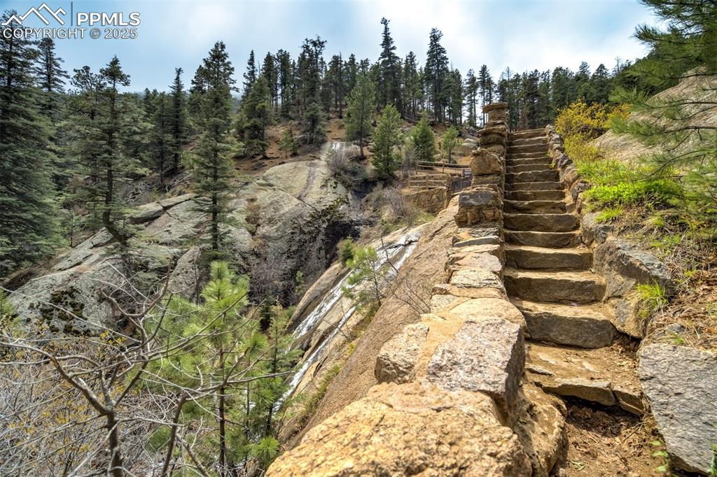 4560 Canonwood Road Colorado Springs, CO 80906 - Photo 39 of 50 a view of a yard with trees