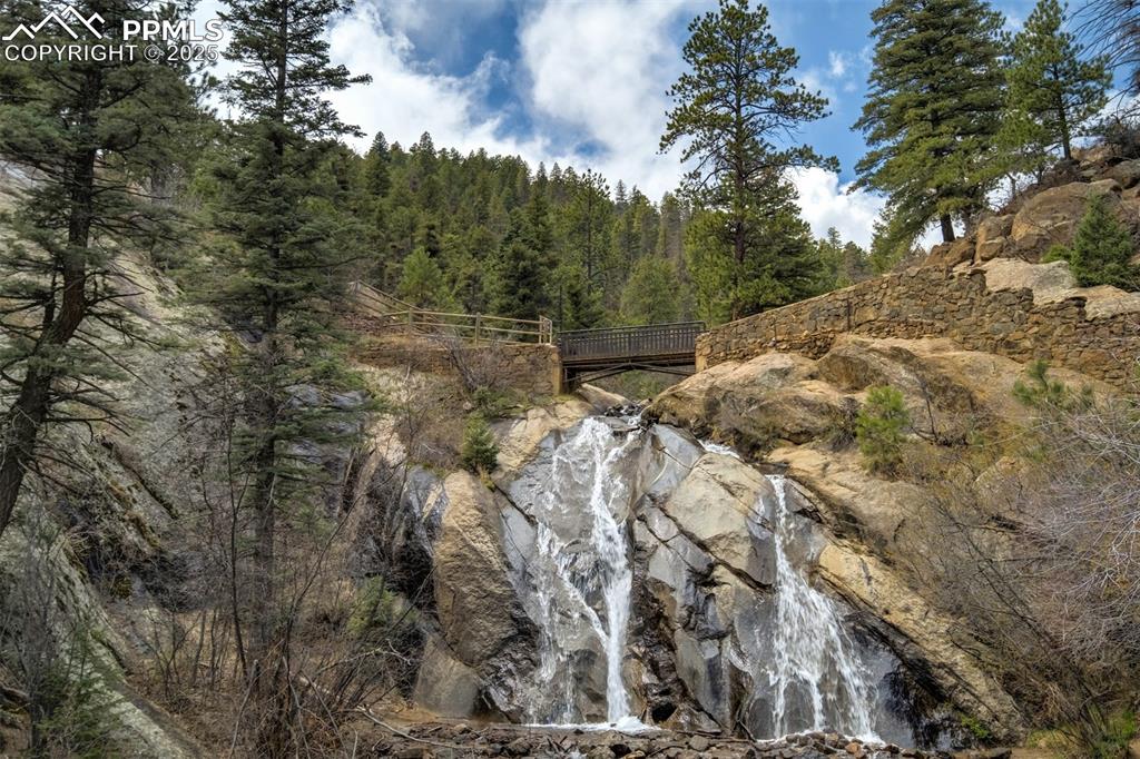 4560 Canonwood Road Colorado Springs, CO 80906 - Photo 41 of 50 a view of a forest with a tree