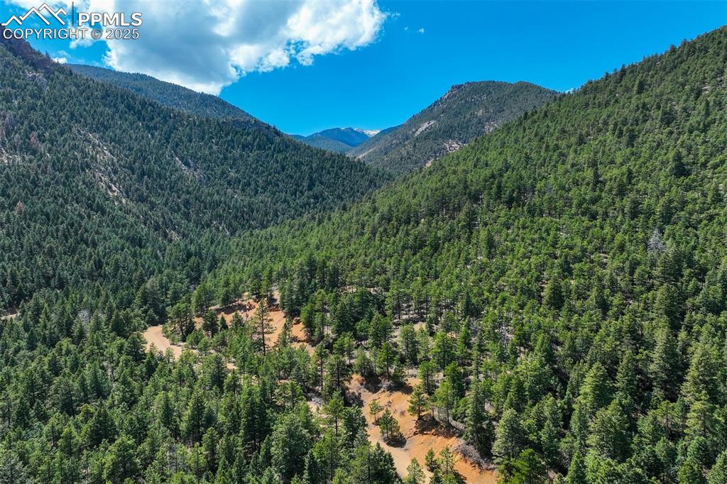 4560 Canonwood Road Colorado Springs, CO 80906 - Photo 44 of 50 a view of a city with a mountain