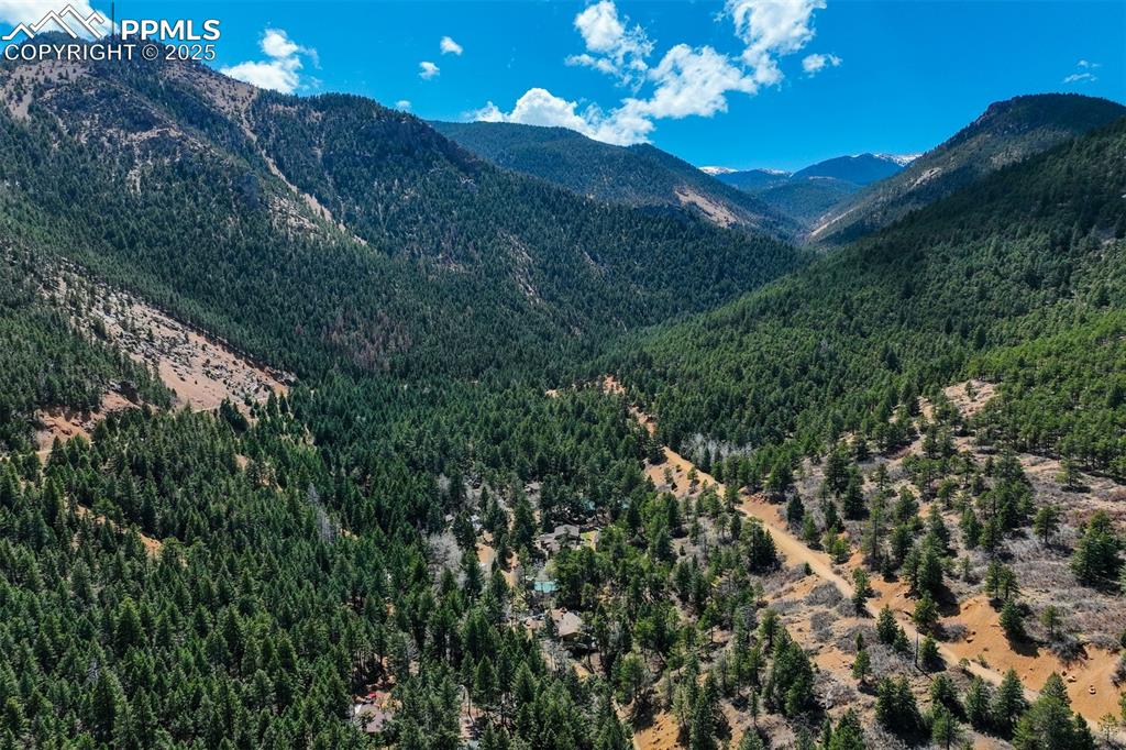 4560 Canonwood Road Colorado Springs, CO 80906 - Photo 47 of 50 a view of a house with lots of trees