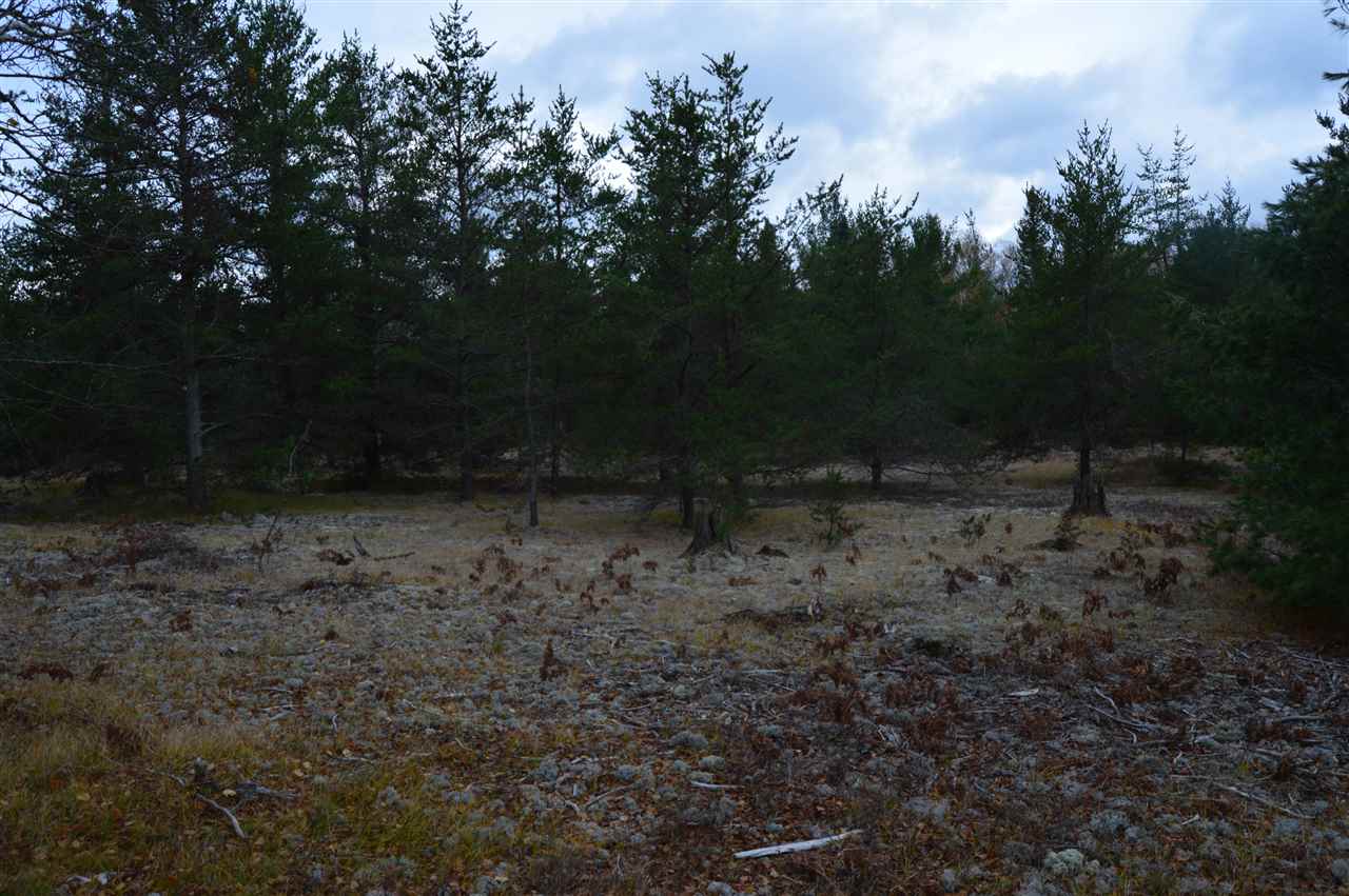 Xxx Chamberlain Road Munising, MI 49862 - Photo 25 of 29 1894812-24.JPG