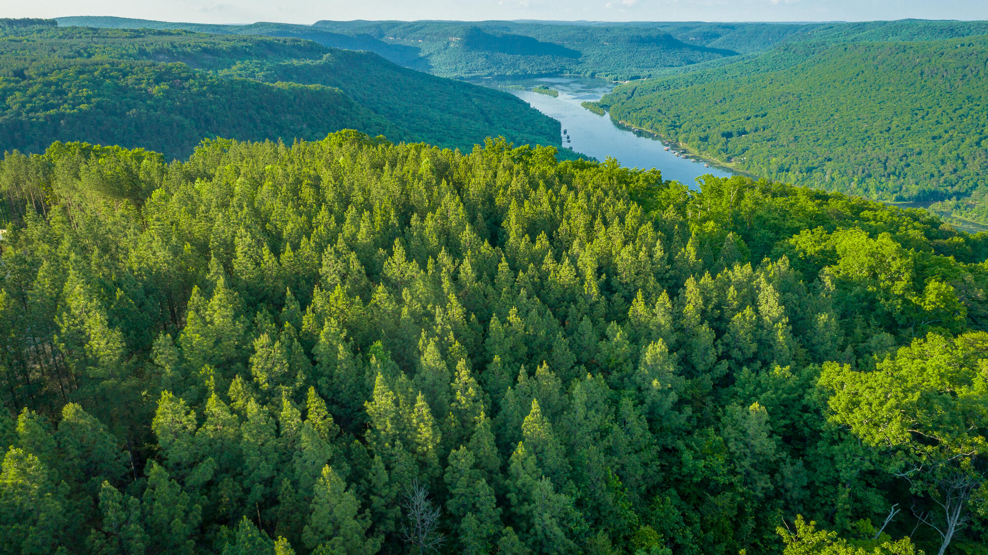 0 Back Basin Trail, Unit LOT 1244 Chattanooga, TN 37419 - Photo 55 of 119 0 Back Basin Trail - Lot 1244 HD-10
