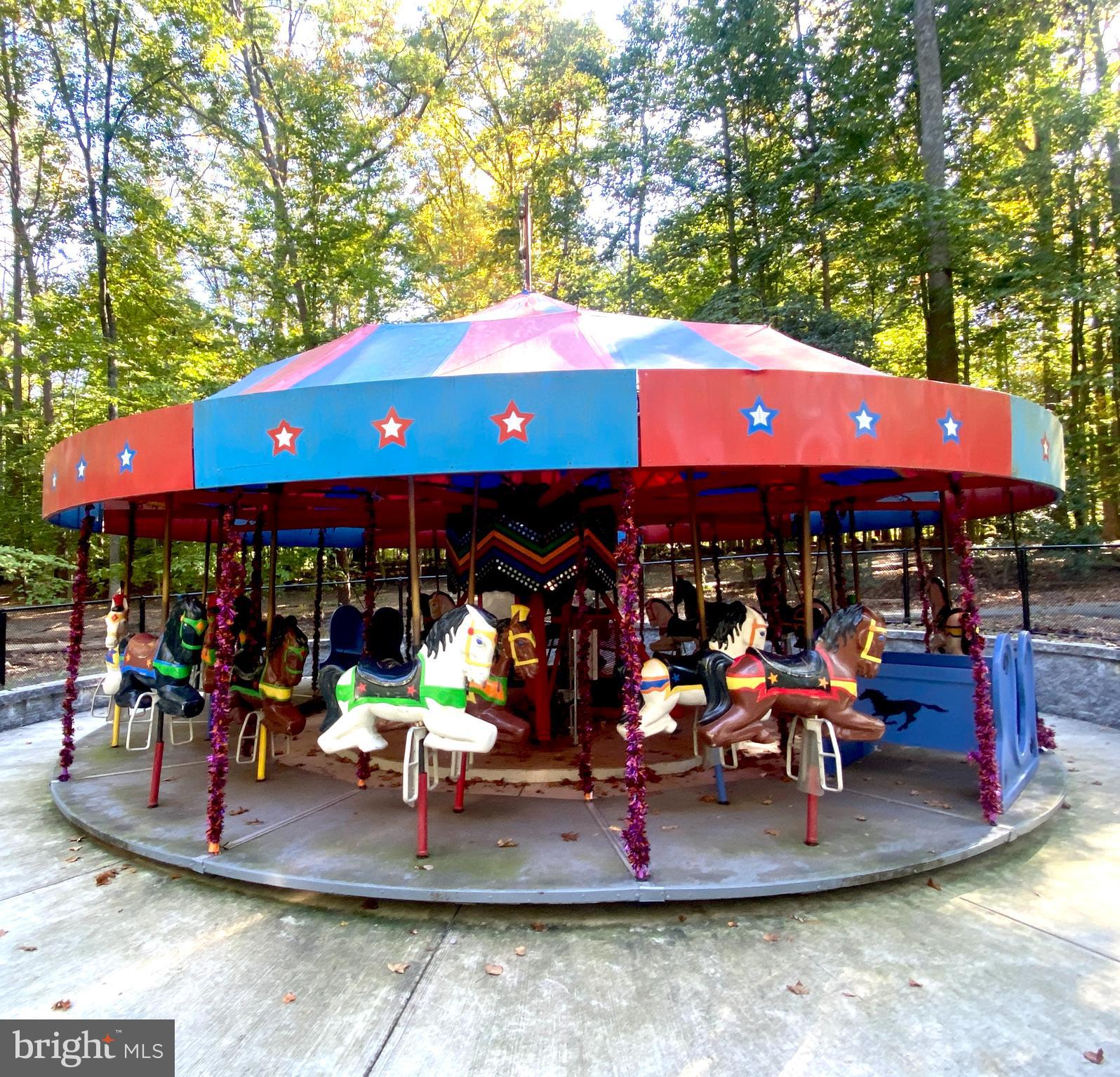 7013 Galgate Drive Springfield, VA 22152 - Photo 42 of 57 CAROUSEL AT BURKE LAKE