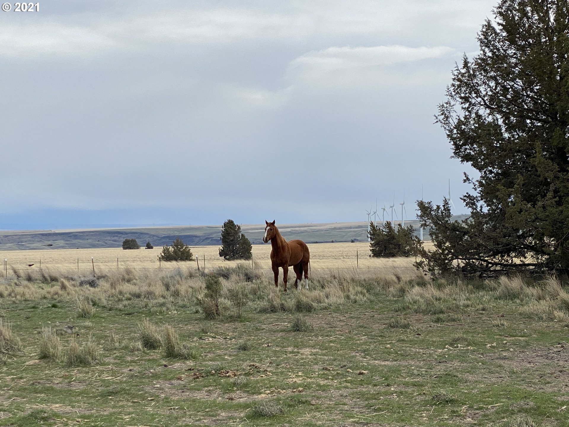 1130 Middle Road Bickleton, WA 99322 - Photo 29 of 31 Gallery Image 29
