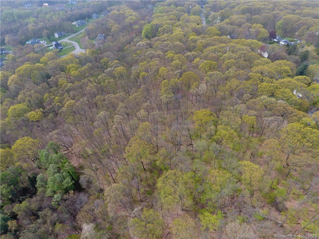 52 Cook Road Prospect, CT 06712 - Photo 16 of 19