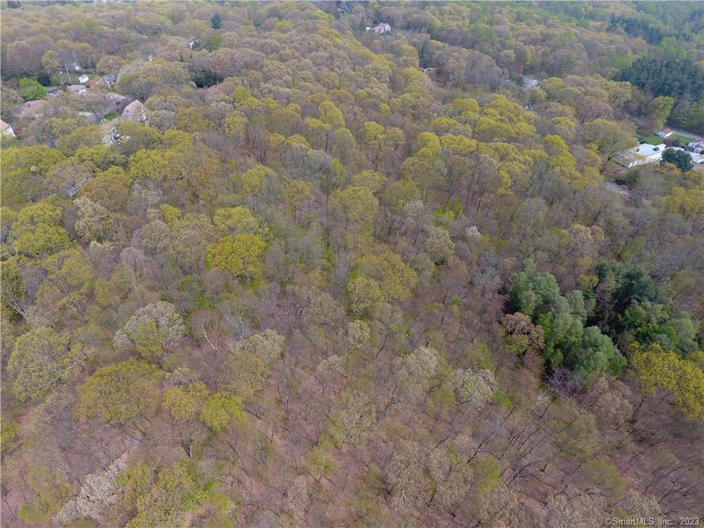 52 Cook Road Prospect, CT 06712 - Photo 17 of 19