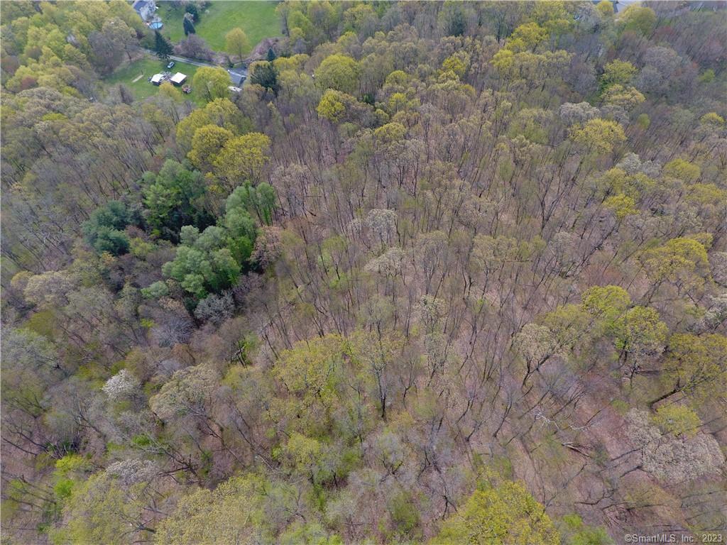 52 Cook Road Prospect, CT 06712 - Photo 3 of 19