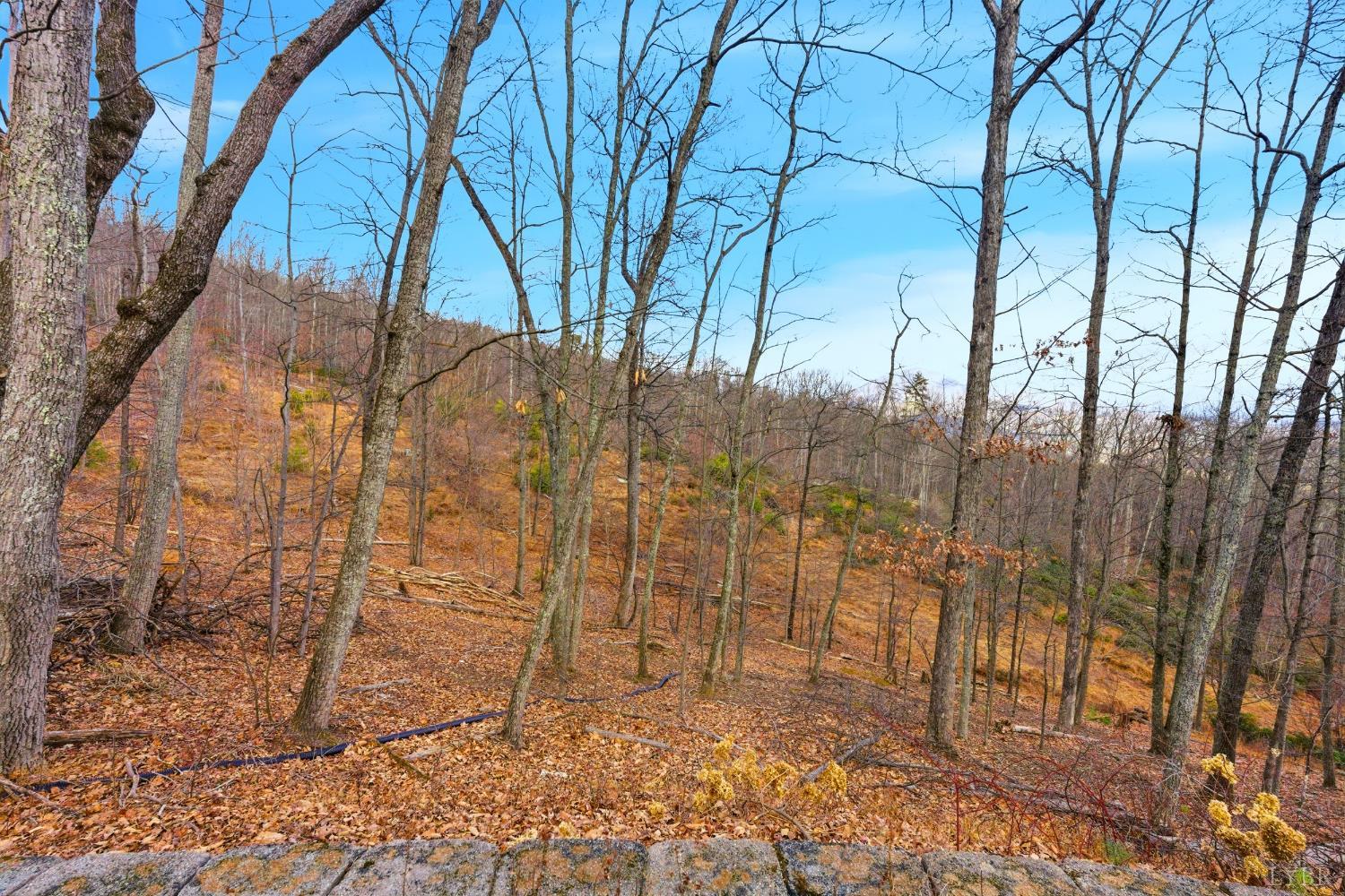 5130 Turnpike Road Lexington, VA 24450 - Photo 69 of 69 Gallery Image 69