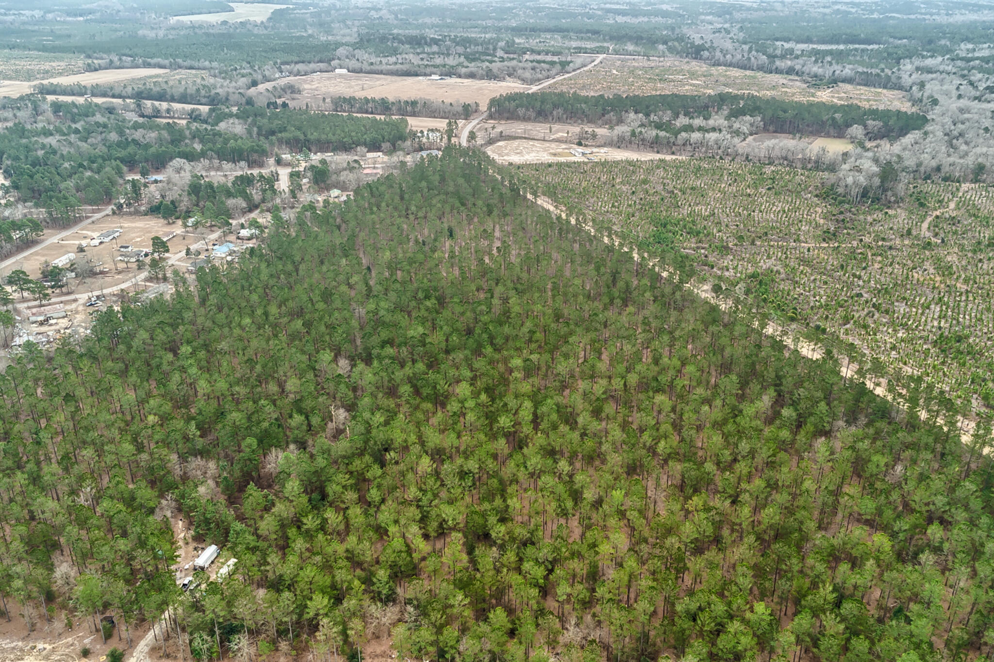 0 Otis Baughman Sr Road Wagener, SC 29164 - Photo 7 of 11