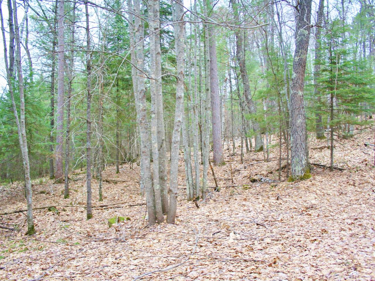 On Wakefield Lake Road St. Germain, WI 54558 - Photo 4 of 7 Gallery Image 4