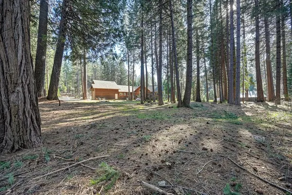 $699,000 | 701 Sawmill Road, Alta, CA 95701