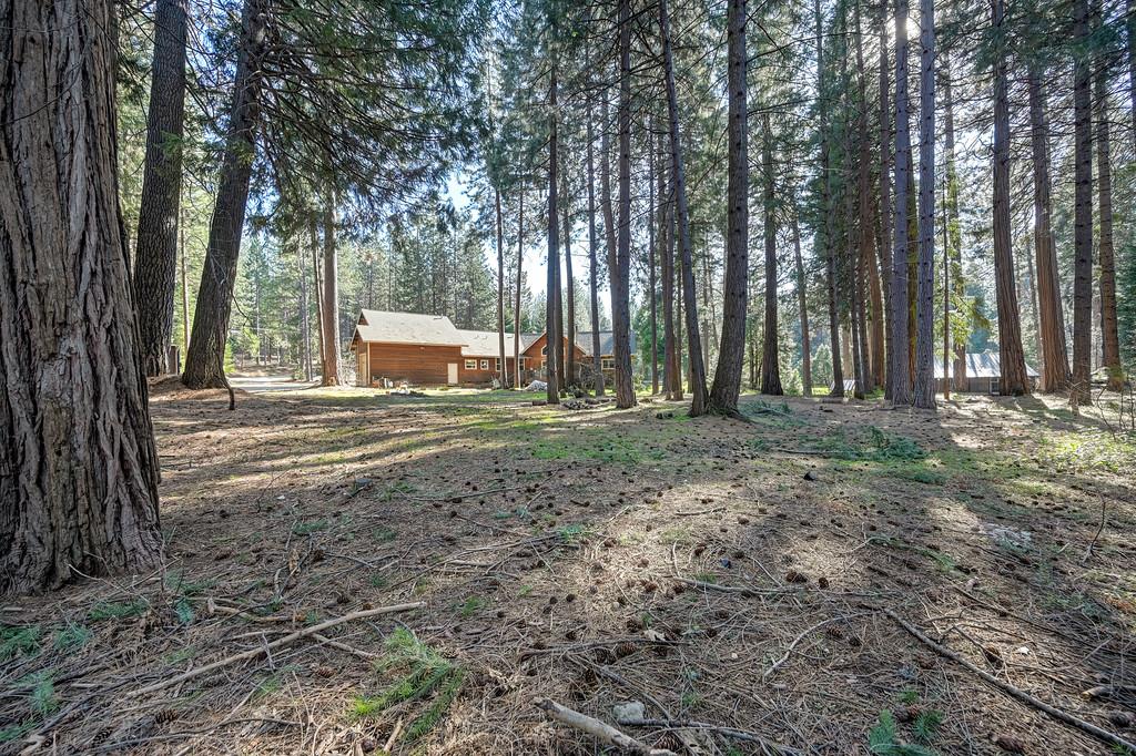 701 Sawmill Road Alta, CA 95701 - Photo 44 of 53 a view of a outdoor space with trees