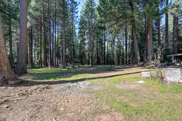 $699,000 | 701 Sawmill Road, Alta, CA 95701