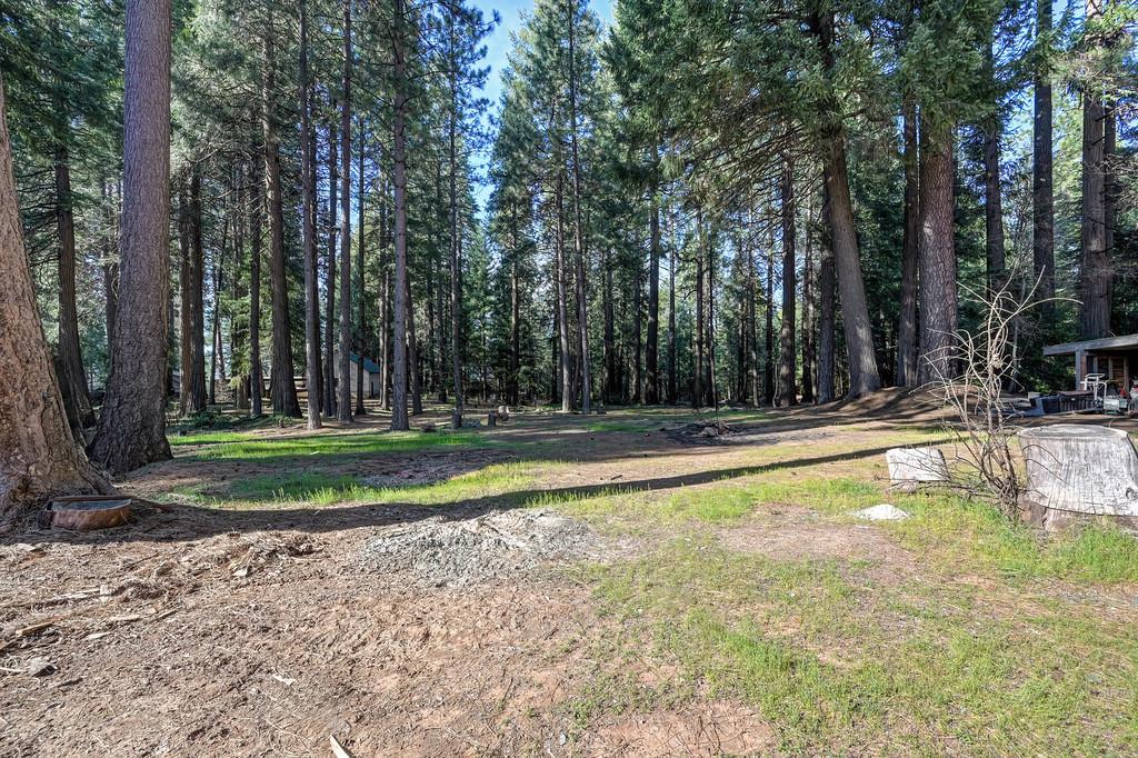 701 Sawmill Road Alta, CA 95701 - Photo 45 of 53 a view of swimming pool with trees
