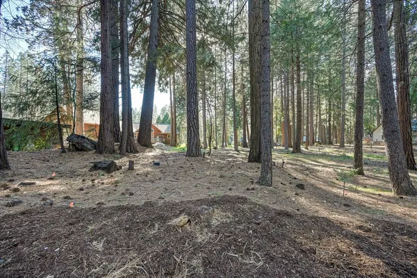 $699,000 | 701 Sawmill Road, Alta, CA 95701