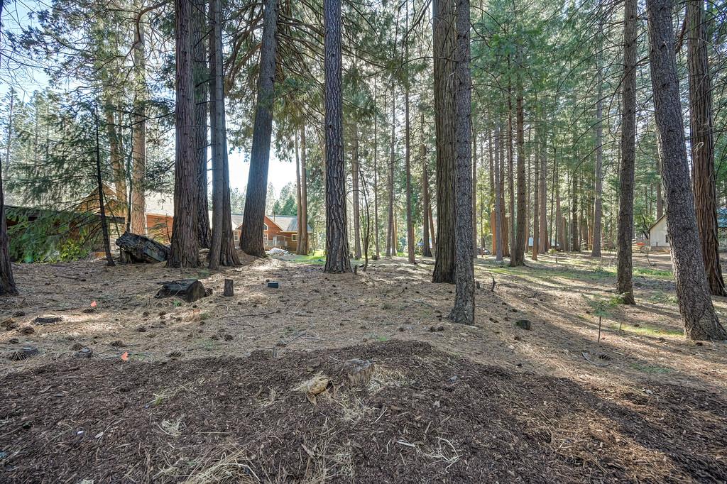 701 Sawmill Road Alta, CA 95701 - Photo 46 of 53 a backyard of a house with lots of green space