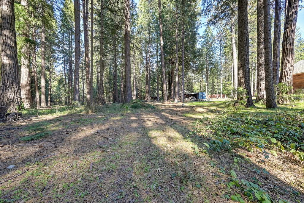 701 Sawmill Road Alta, CA 95701 - Photo 47 of 53 a view of a field with trees in the background