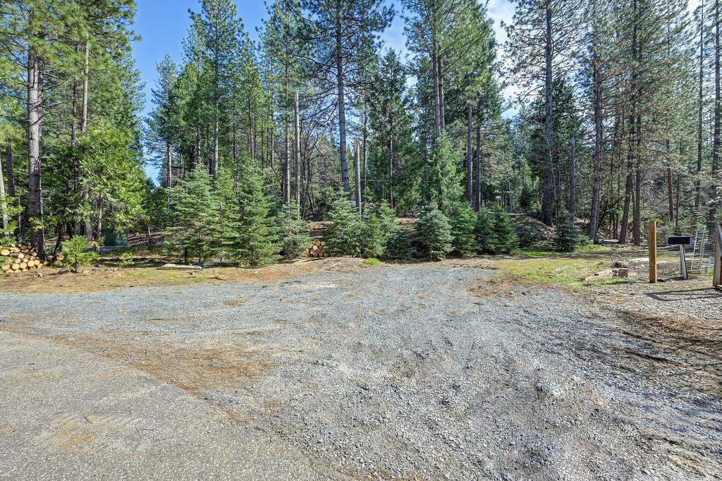 701 Sawmill Road Alta, CA 95701 - Photo 49 of 53 a view of outdoor space with trees