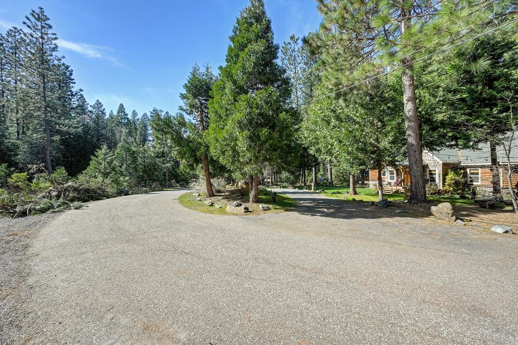 701 Sawmill Road Alta, CA 95701 - Photo 53 of 53 a view of a park with large trees