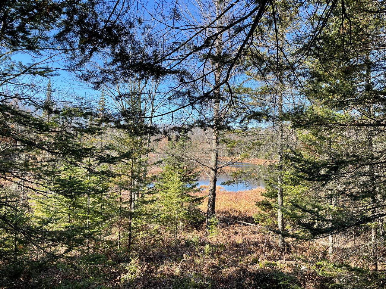 Lot 36 Cth B Road Hurley, WI 54534 - Photo 1 of 13 Gallery Image 1