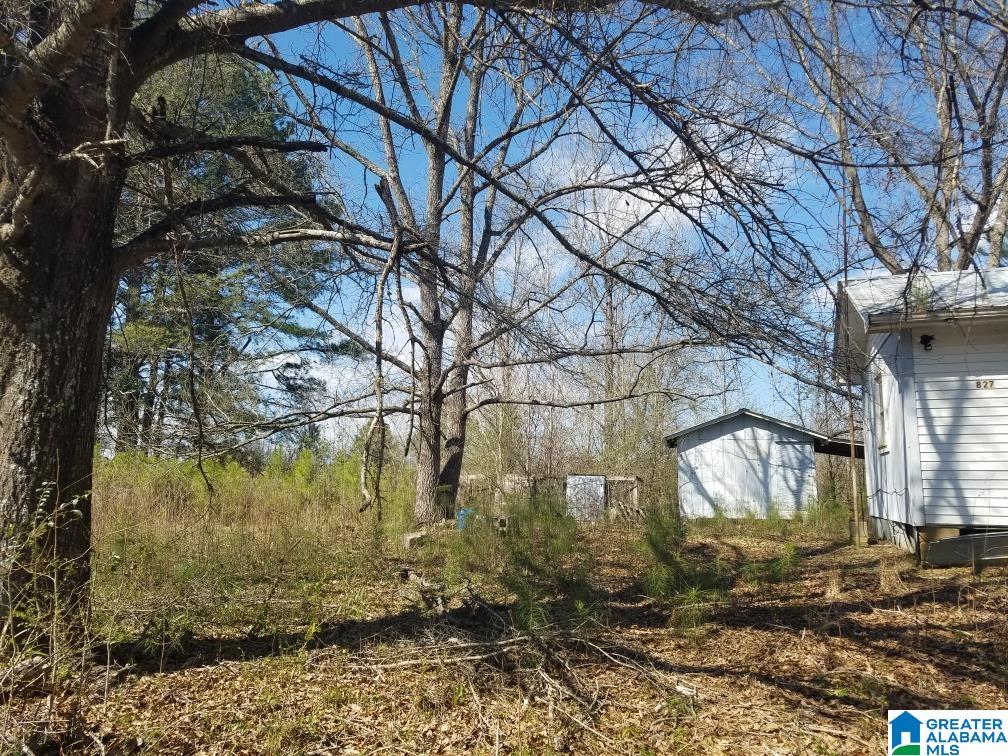 827 Low Water Bridge Road Cleveland, AL 35049 - Photo 8 of 10