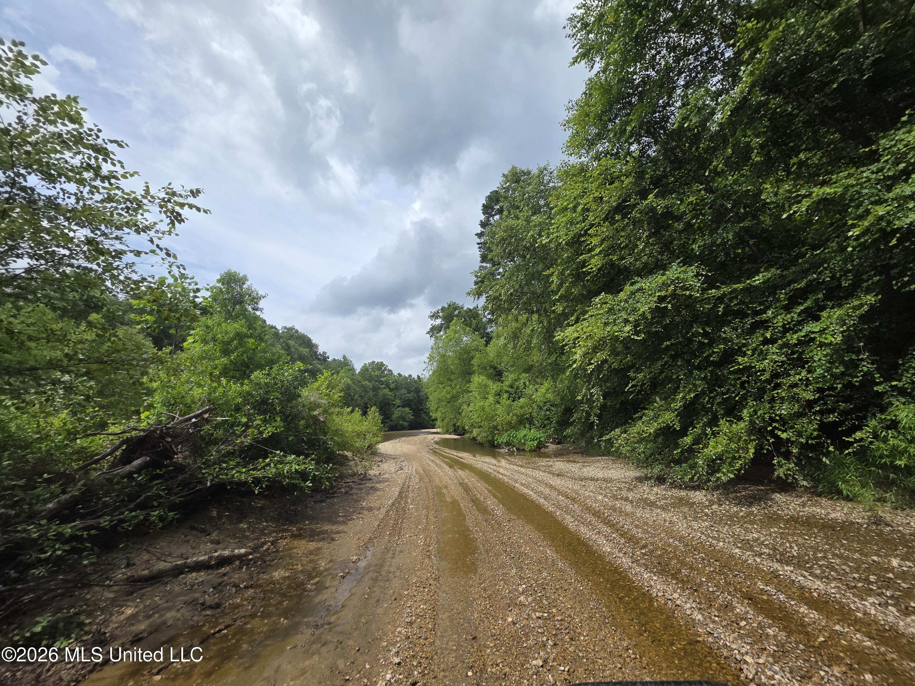 244 Foster Road Sontag, MS 39665 - Photo 99 of 105 35700