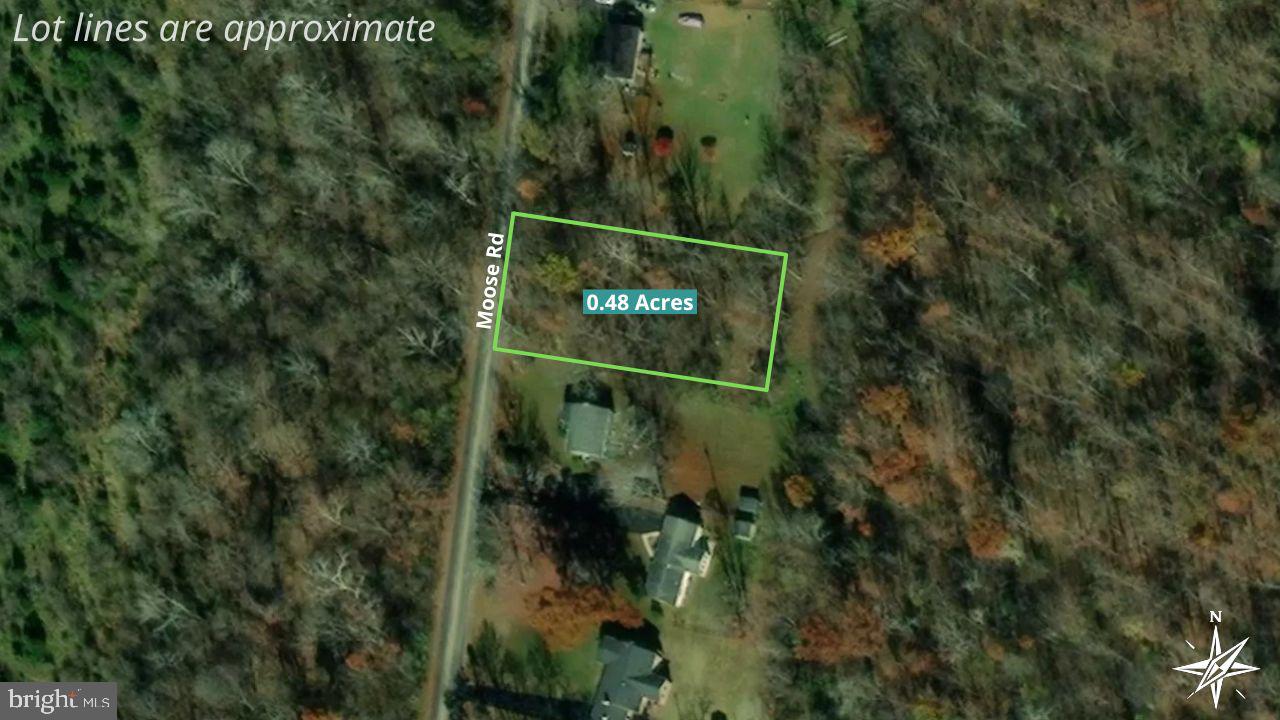 Moose Road Berryville, VA 22611 - Photo 2 of 12