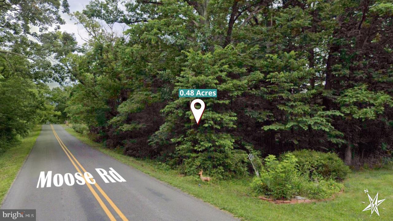 Moose Road Berryville, VA 22611 - Photo 4 of 12