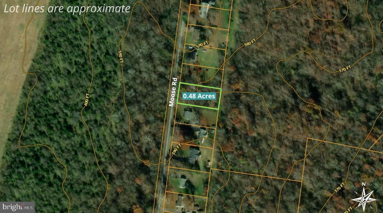 Moose Road Berryville, VA 22611 - Photo 7 of 12