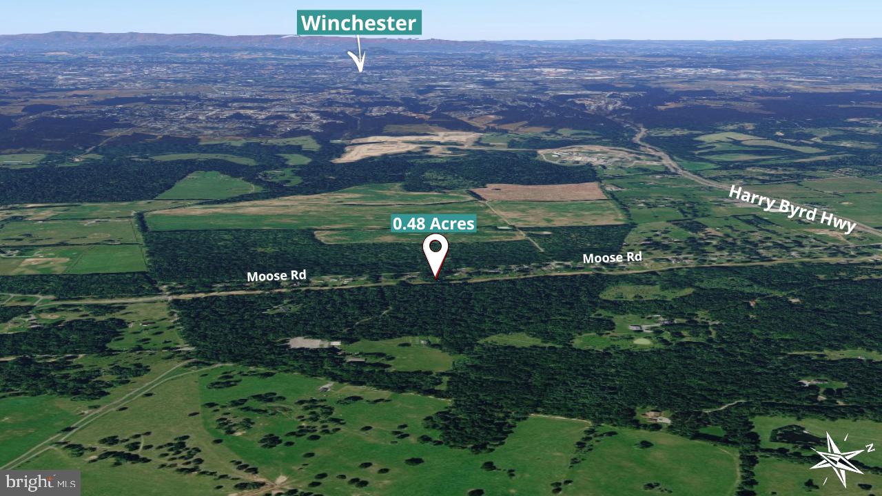 Moose Road Berryville, VA 22611 - Photo 9 of 12