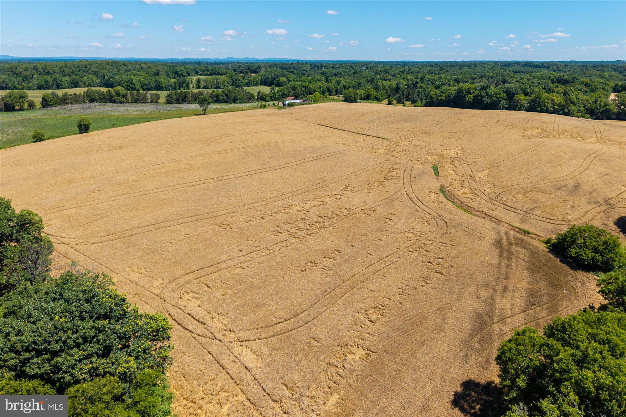 4700 Midland Road Midland, VA 22728 - Photo 27 of 31 Vast golden fields under blue skies.
