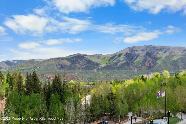 a view of a lot of trees and mountains