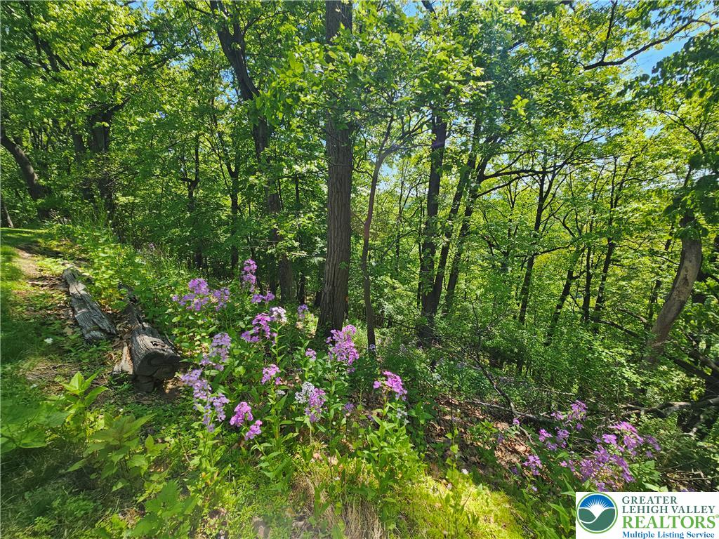 1200 Paxinosa Road East Easton, PA 18040 - Photo 32 of 40