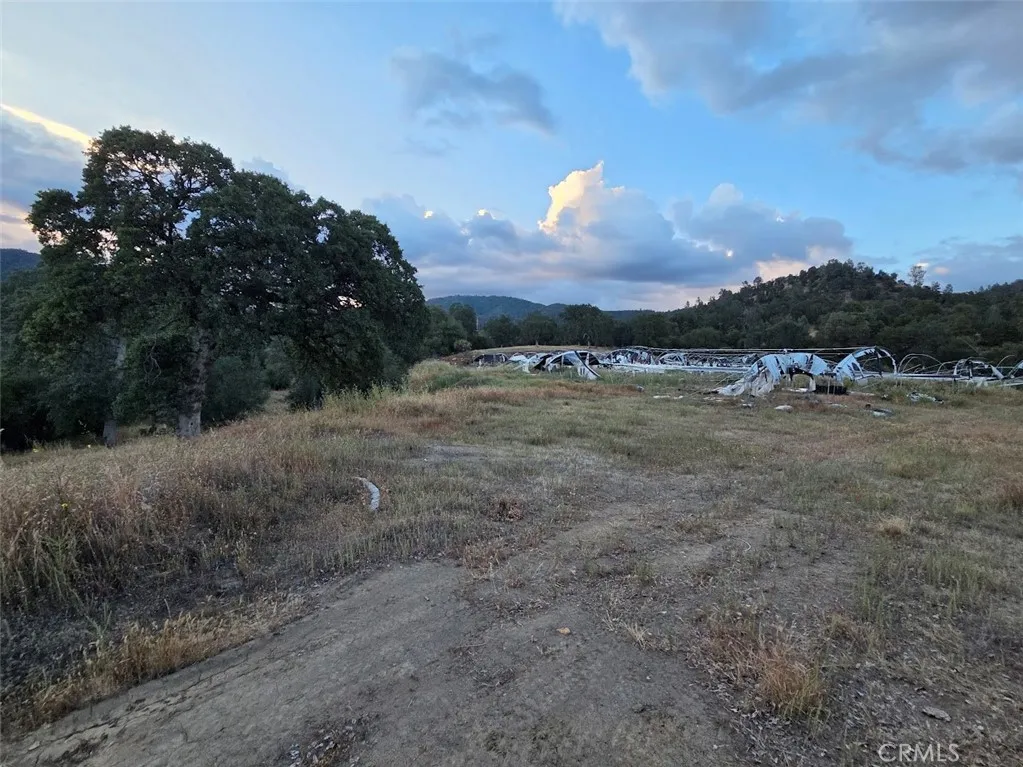 33555 Merrill Ranch Knights Landing, CA 95645 - Photo 19 of 49