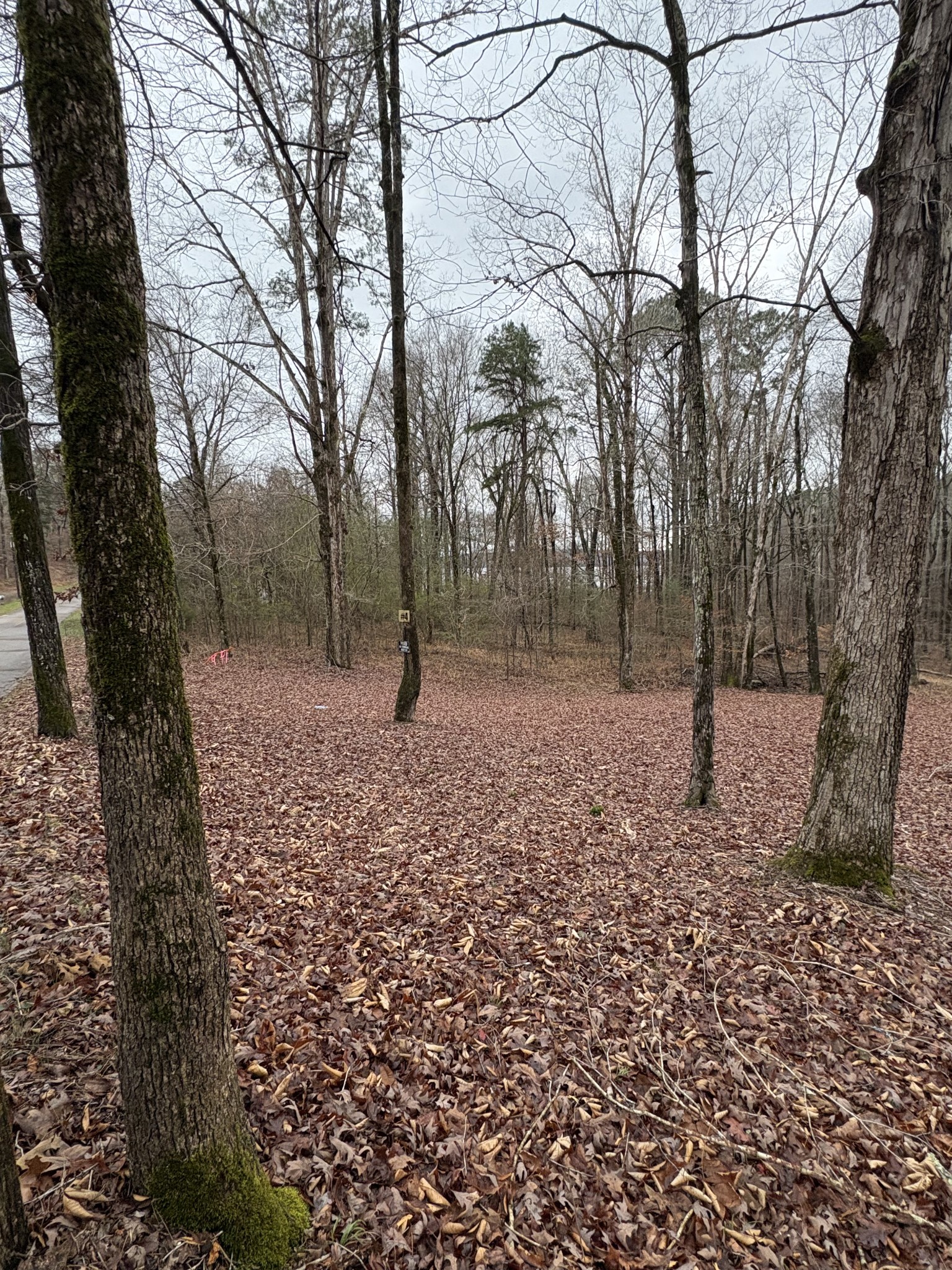 2160 Bruton Branch Road Savannah, TN 38372 - Photo 2 of 8